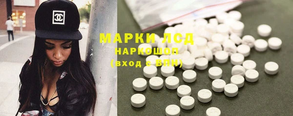 прущие грибы Саяногорск