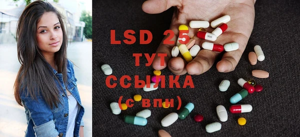 ГАЛЛЮЦИНОГЕННЫЕ ГРИБЫ Аркадак