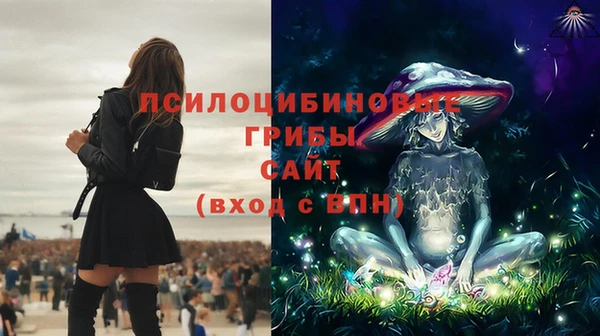 мяу мяу мука Армянск