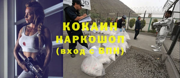 ГАЛЛЮЦИНОГЕННЫЕ ГРИБЫ Аркадак