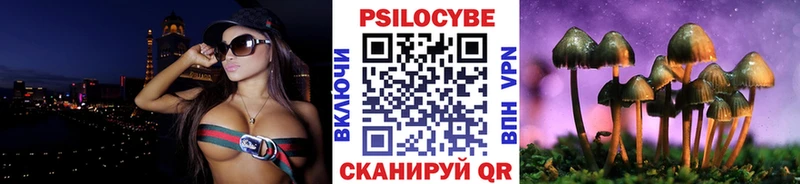 это официальный сайт  Ладушкин  Псилоцибиновые грибы Psilocybine cubensis  OMG зеркало 